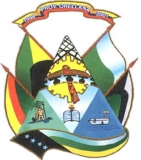 Escudo de Orellana
